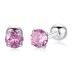 Silver Sparkle 4mm Zirconia Screw Back Stud Earrings 40600001