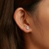 Zirconia Animal Footprint Screw Back Earrings 40600009