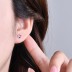 Sparkle Heart Screw Back Stud Earring 40600012