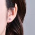 Sparkle Heart Screw Back Stud Earring 40600012