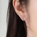 Mini Zirconia Rabbit Screw Back Stud Earring 40600017