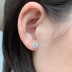 3/4/5/6mm Zirconia Screw Back Stud Earring 40600020