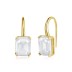 925 Sterling Silver Rectangle Crystal Dangle Earrings 50100010