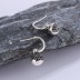 Black Zirconia Balls Dangle Earrings 50100016