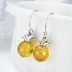 Zirconia Pipeapple Dangle Earrings 50100019