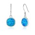 Vintage Blue Opal Dangle Earring 50100022
