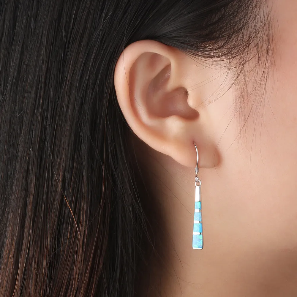 Vintage Blue Opal Dangle Earring 50100023 - image1