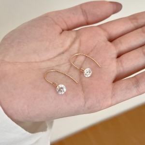 925 Sterling Silver Top-Drilled Round Hook Earrings 50100037