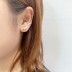 Silver Cubic Zirconia Leaf Climber Earring 50200002