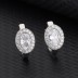 Silver Cubic Zirconia Oval Huggie Earring 60200006