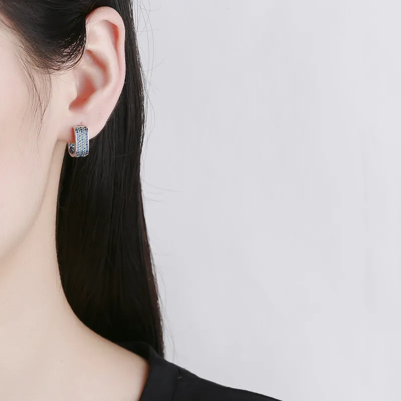 Two Tone Zirconia Wide Hoop Earrings 60200056 - image2