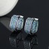 Two Tone Zirconia Wide Hoop Earrings 60200056