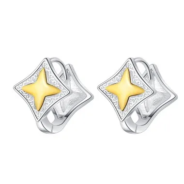 Two Tone Star Hoop Earrings 60200077