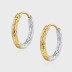 Two Tone Color Hammered Hoop Earrings 60200084