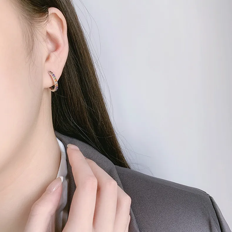 Luxury Rainbow Zirconia Huggie Hoop Earrings 60200087 - image2
