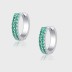 Spring Zirconia Huggie Hoop Earrings 60200096