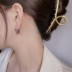 Rainbow Zirconia Small Waist Hoop Earrings 60200100