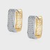 Sparkle Zirconia Hollow Flowers Hoop Earrings 60200109