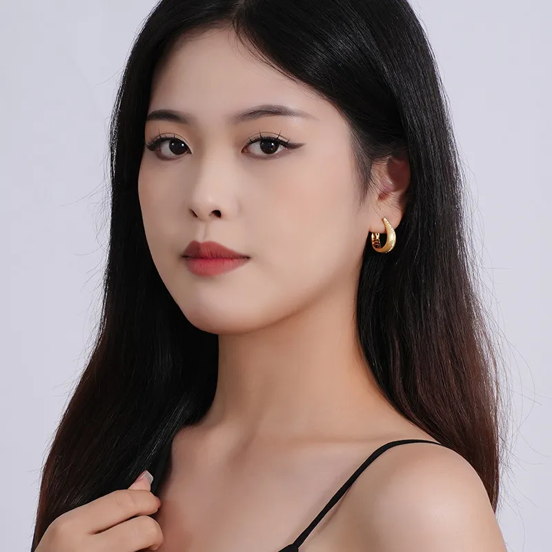 Satin Polish Zirconia Hoop Earring 60200138 - image2