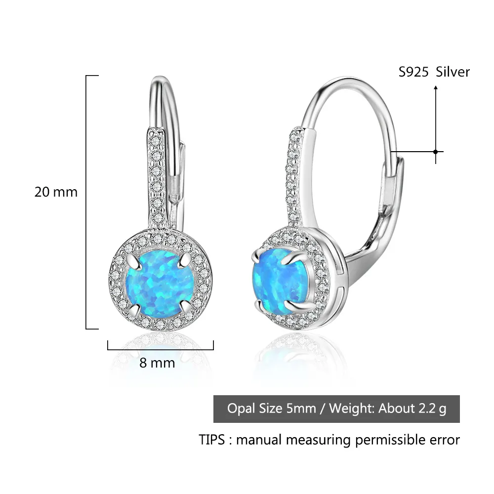 Zirconia Blue Opal Hoop Earring 60200146 - image2