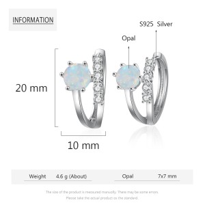 Zirconia White Opal Hoop Earring 60200147