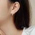 Shiny Yellow White Zirconia Hoop Earrings 60200183