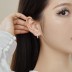 Full Zirconia Heart Hoop Earrings 60200185