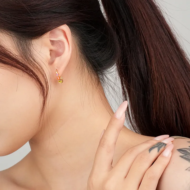 Geometric Rainbow Zirconia Hoop Earring 60200208 - image2