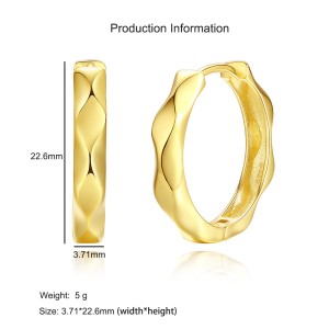925 Sterling Silver Geometric Hoop Earring 60200279