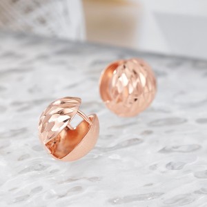 925 Sterling Silver Brushed Matte Sphere Earring 60200281