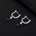 Cubic Zirconia Waterdrop Hoop Earring 60300001