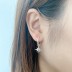 Silver Cubic Zirconia Star Hoop Earring 60300015