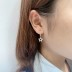 Silver Star Hoop Earring 60300030