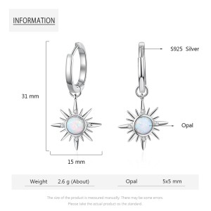 Sparkle Opal Star Charm Hoop Earrings 60300100