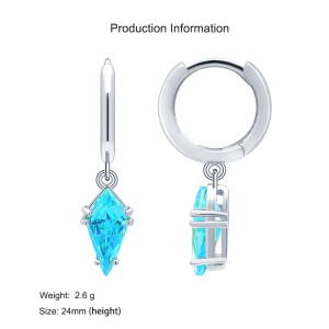 925 Sterling Silver Geometric Multicolor Zircon Earring 60300191