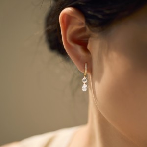 925 Sterling Silver Double Zircon Hoop Earring 60300199