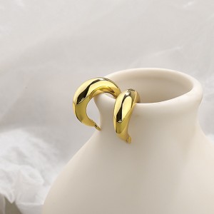 Geometric Round Frensh Lock Hoop Earring 60400005