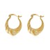 Satin Zirconia French Lock Hoop Earring 60400007