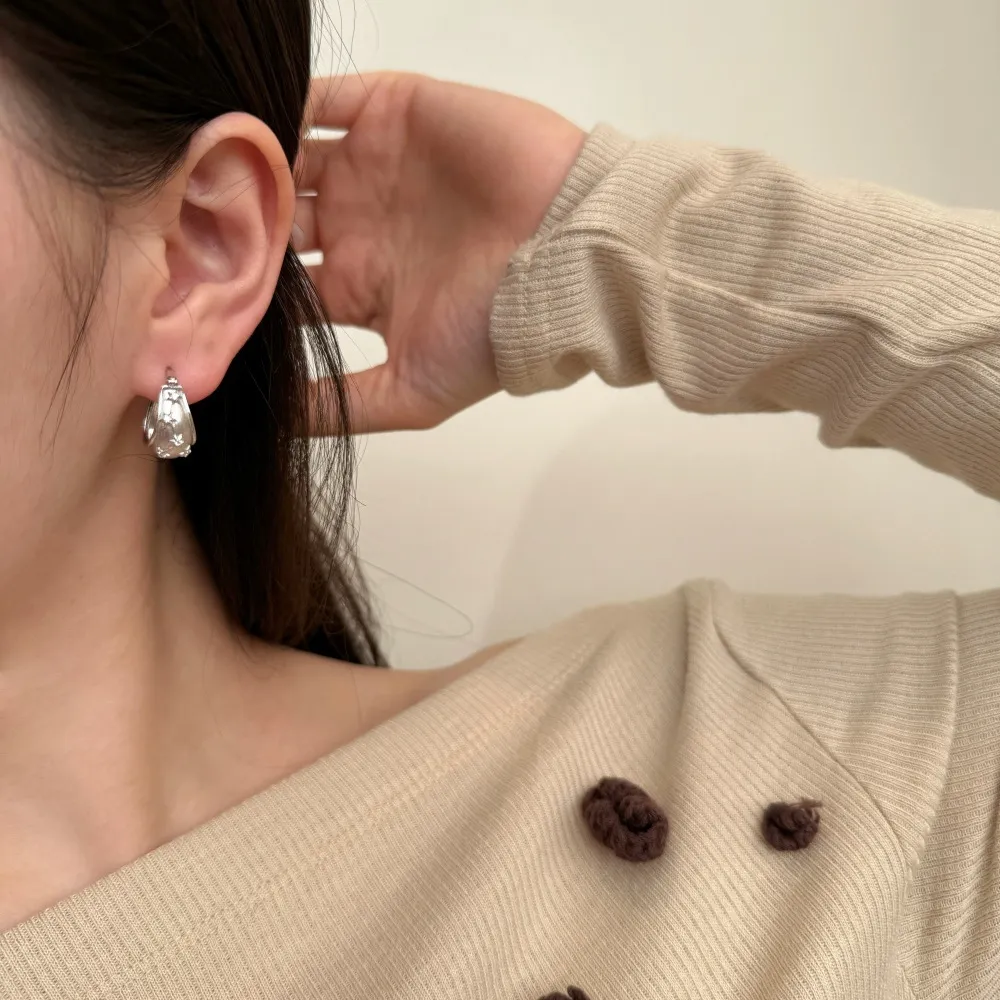 S925 Brushed Zirconia Star French Lock Earring 60400021 - image1