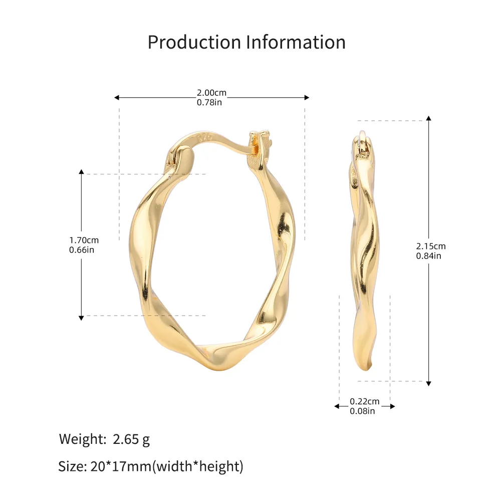 925 Sterling Silver Geometric Twisted Hoop Earrings 60400036 - image2