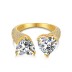 Luxury Double Heart Zirconia Toe Ring 70400206