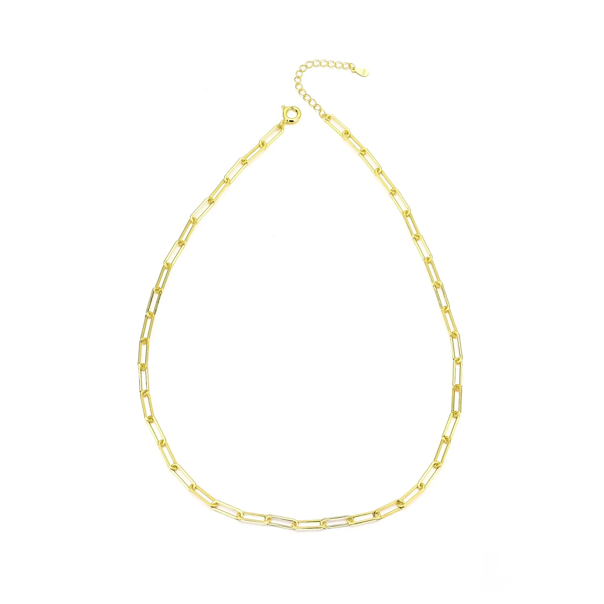 Thick Pin Chain Necklace 80200064