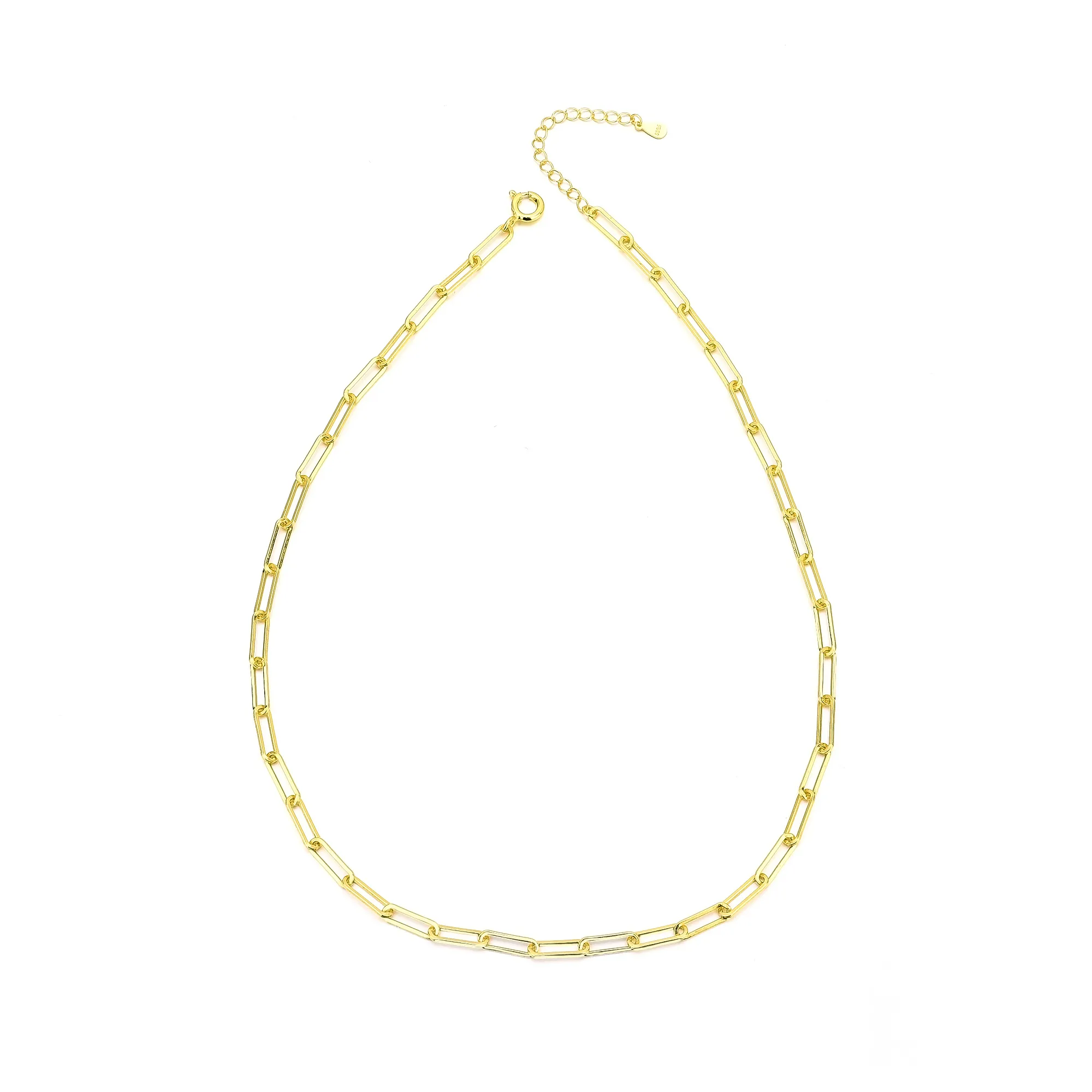 Thick Pin Chain Necklace 80200064