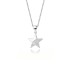 Silver Cubic Zirconia Star Necklace 80200121