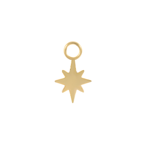 Silver Plain Star Pendant 90100044