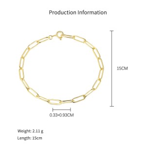 925 Sterling Silver Paperclip Chain Bracelet Necklace Fruit Charm Kit 140500002 925 Sterling Silver Paperclip Chain Bracelet Necklace Fruit Charm Kit 140500002