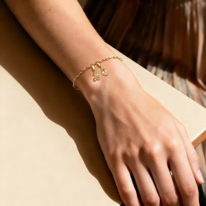 925 Sterling Silver Paperclip Chain Bracelet Necklace Fruit Charm Kit 140500002 925 Sterling Silver Paperclip Chain Bracelet Necklace Fruit Charm Kit 140500002