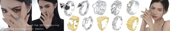 925 Silver Jewelry Wholesale Hiphop Punk Rings