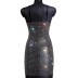 High Quality Sparkle Sexy Mesh Fishnet Transparent See Through Slip Dress CSC00010