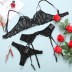 Wholesale Sexy Lingerie Breathable Lace Sexy Bra Set SBB00026
